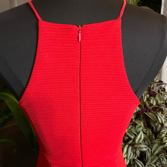 Lush - Picture 6 of 10